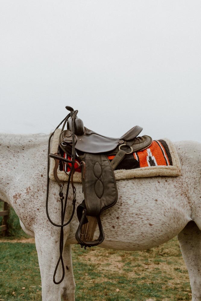 caballos-de-luz-along-dusty-roads-16.jpg