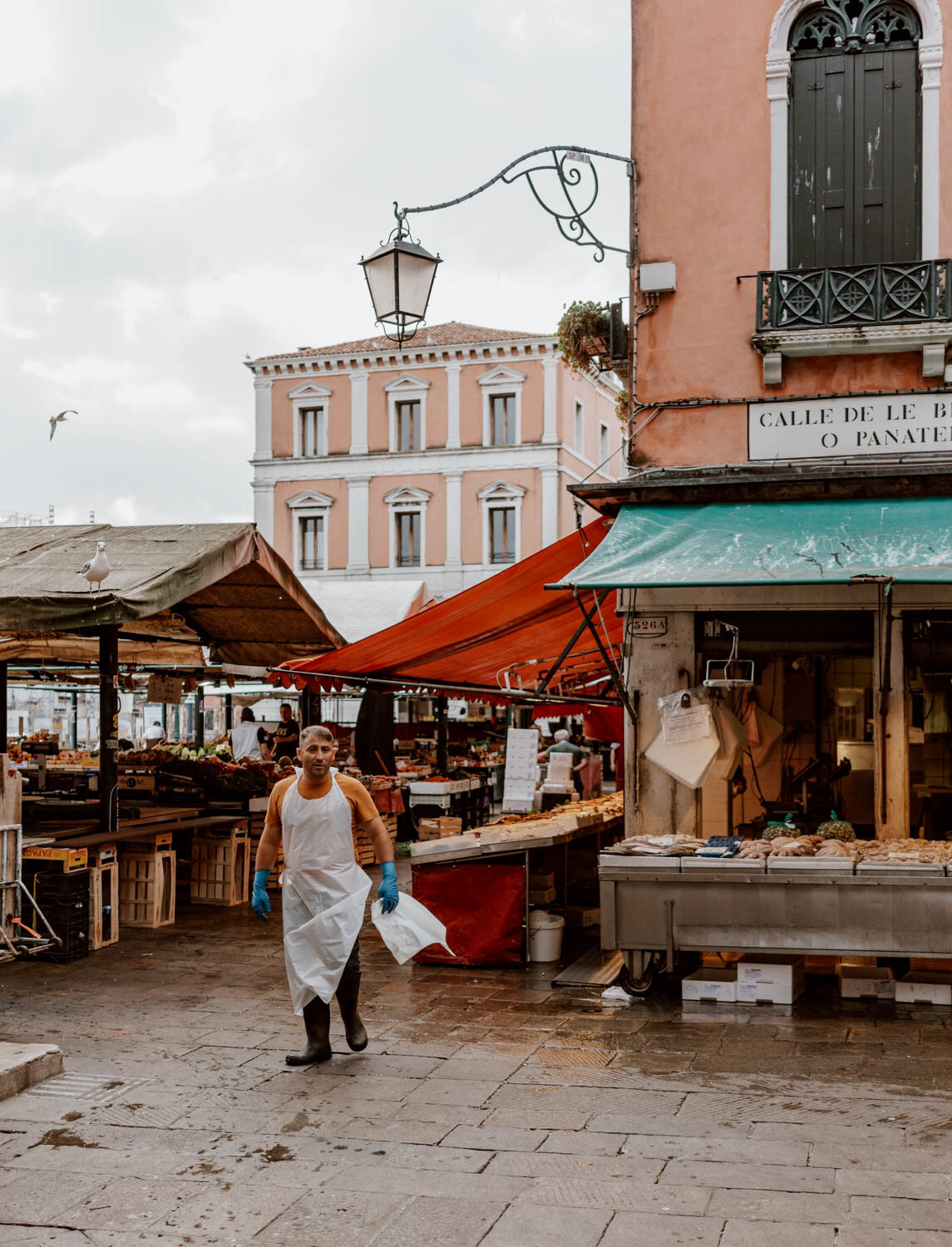 Things to do in Venice | Visit the fish market