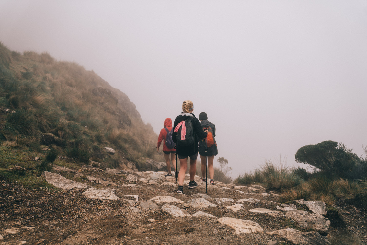 Inca Trail Tour