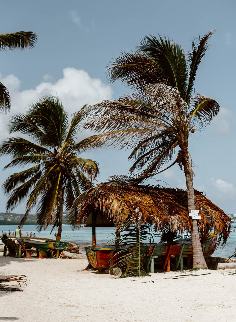 Boat Trip to Haynes Cay  | Along Dusty Roads