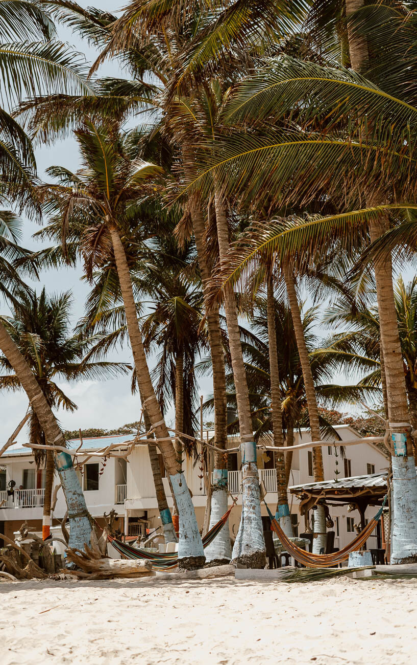 Palm trees and hammocks in San Andres Colombia