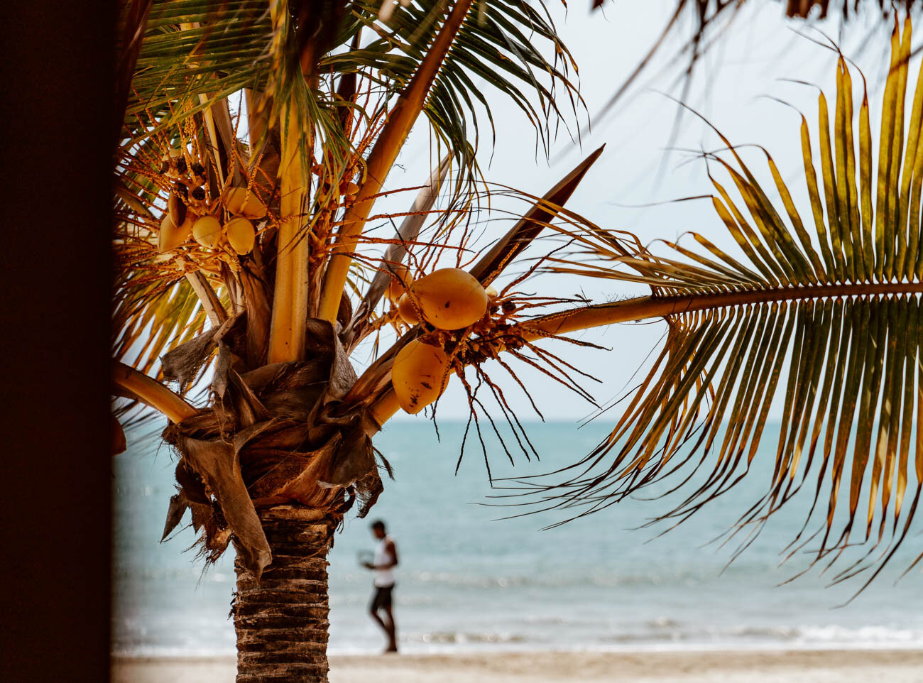 Dos Aguas Lodge, Rincon del Mar, Colombia