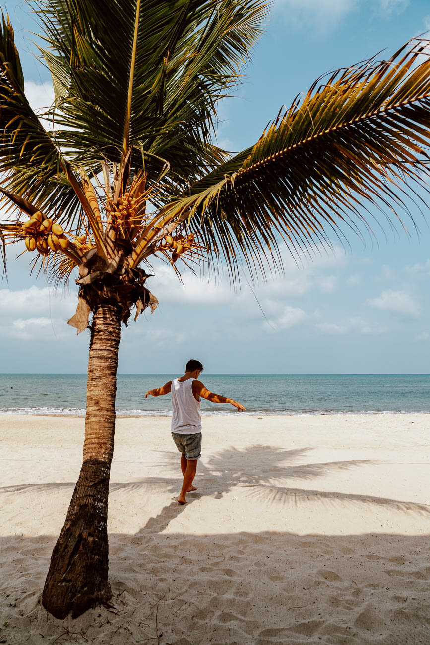 Rincon del Mar, Colombia - Beach &amp; Palm Tree