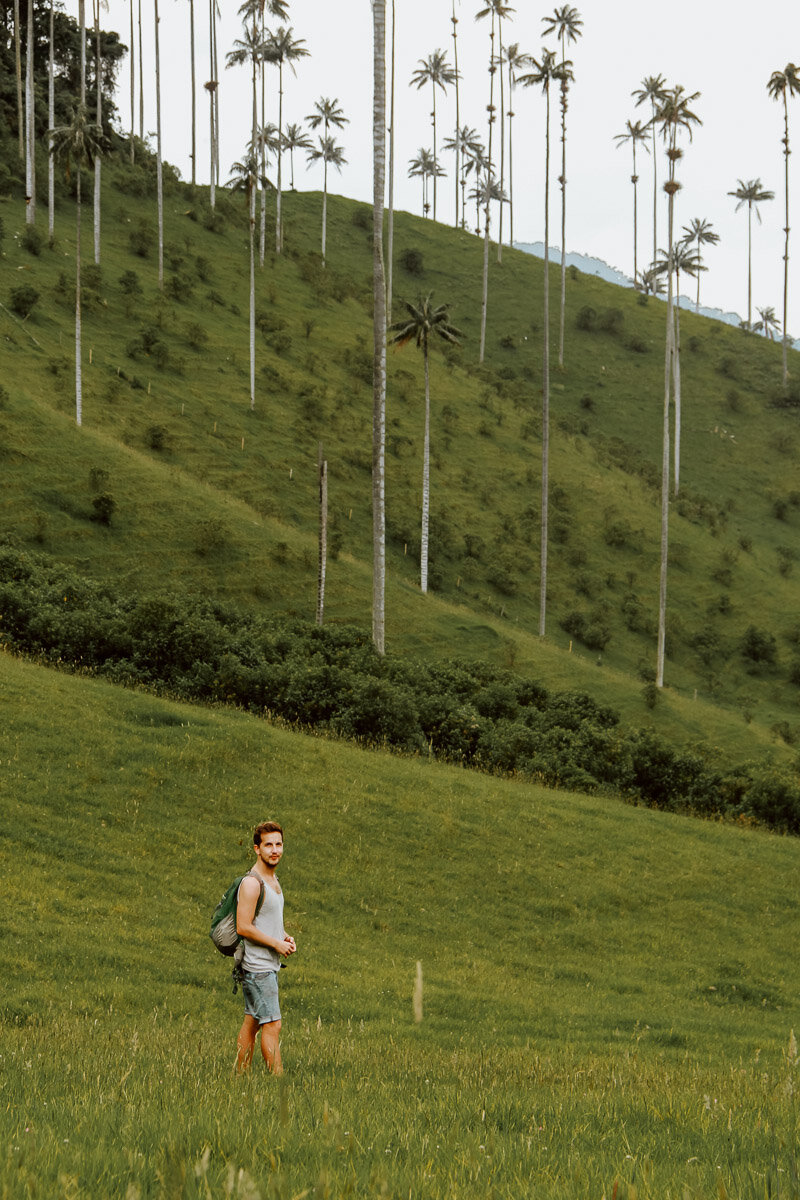 Valle de Cocora, Salento, Colombia