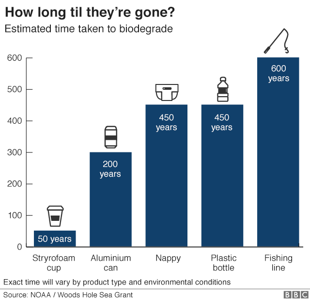 PLastic Degradation Rate.png